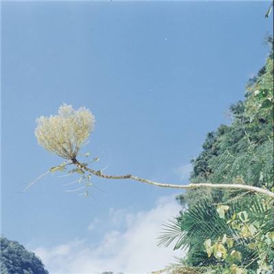 无尽战略手游下载