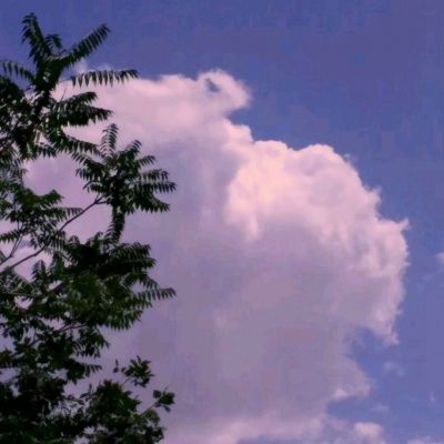 机机大作战手机版(暂未上线)v1.0 官方安卓版