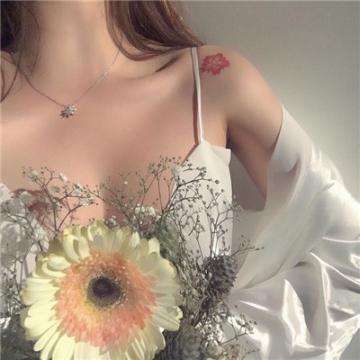 你来嘛英雄手游下载
